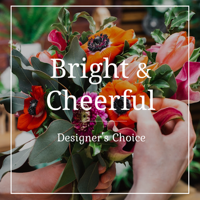 Designer's Choice Bright & Cheerful