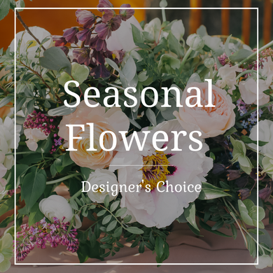 Designer's Choice Seasonal