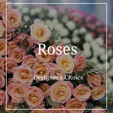 Designer's Choice Roses